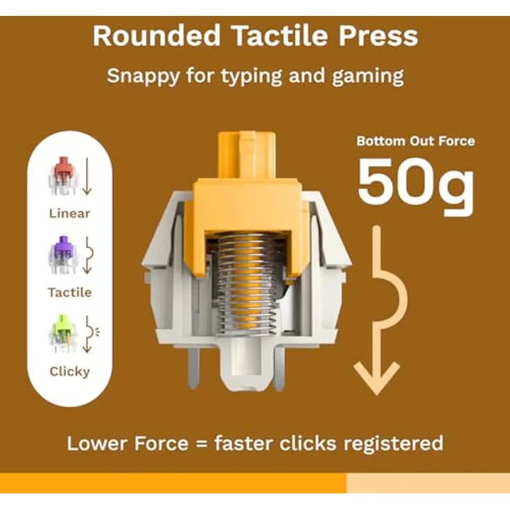 Glorious Panda Standard Switches, mechanisch, taktil, 5-Pin, 50g - lubed, 36 Stück – Bild 2
