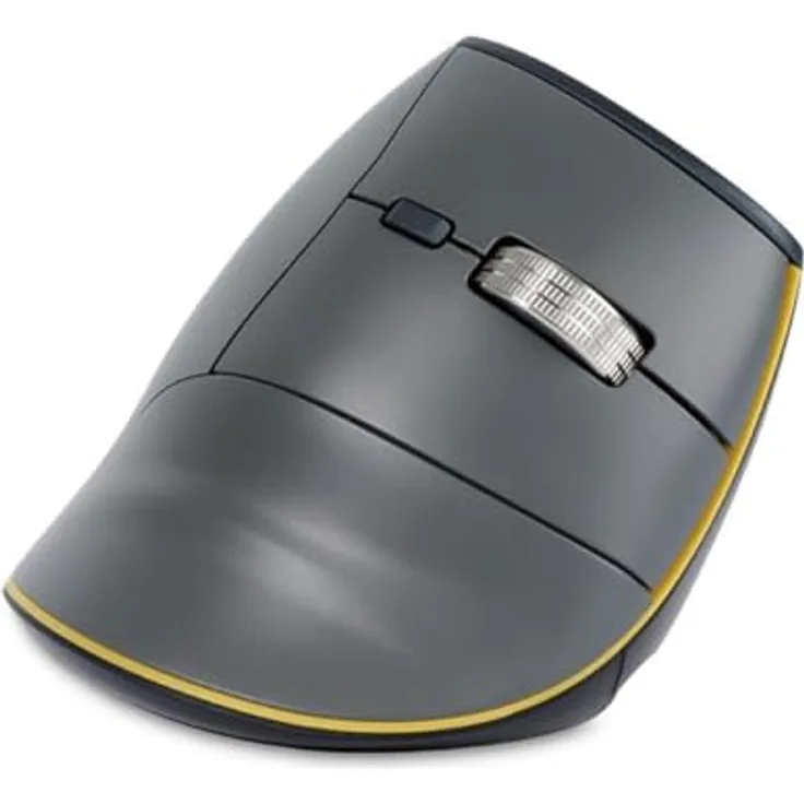 Bakker Elkhuizen FastForward 3-Mode Vertical Mouse, kabelgebunden und kabellos, 5000 DPI, Grau