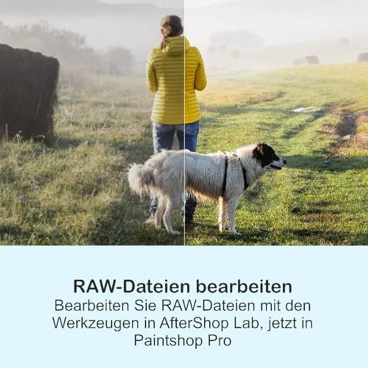 Corel PaintShop Pro 2023, Bildbearbeitung & Grafikdesign Software, 1-PC, Dauerlizenz, Deutsch, KI-unterstützte Tools, RAW- und HDR-Steuerung #PKC – Bild 4