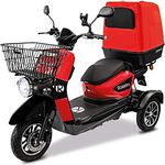Rolektro E-Carrier 25 Lithium mit XXL Koffer Dreirad-Mobil - 1000W Elektromobil E-Moped bis 70km RW - 3-Rad Seniorenmobil mit Zulassung