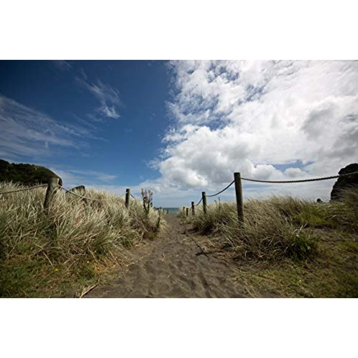 Sigma 14-24mm F2,8 DG DN Art Objektiv für Sony-E Objektivbajonett – Bild 5