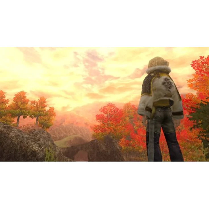 Final Fantasy Crystal Chronicles - The Crystal Bearers (Wii) – Bild 3