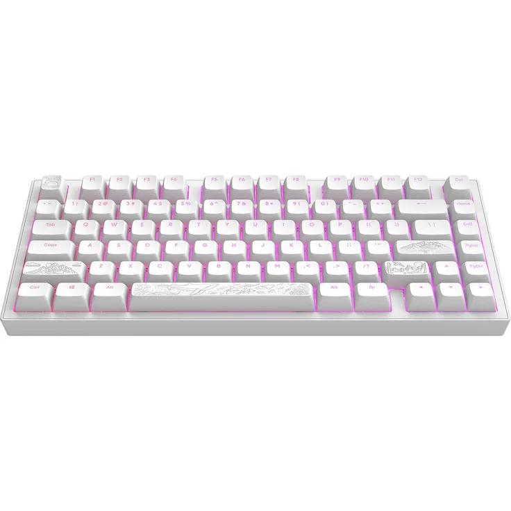 Dark Project Terra Nostra R2, Mechanische Gaming-Tastatur mit RGB-Beleuchtung, 81 Tasten, ANSI US Layout, Aluminium Gehäuse, Weiß