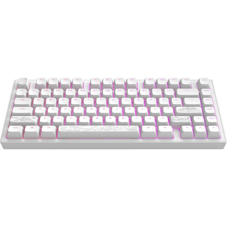 Dark Project Terra Nostra R2, Mechanische Gaming-Tastatur mit RGB-Beleuchtung, 81 Tasten, ANSI US Layout, Aluminium Gehäuse, Weiß