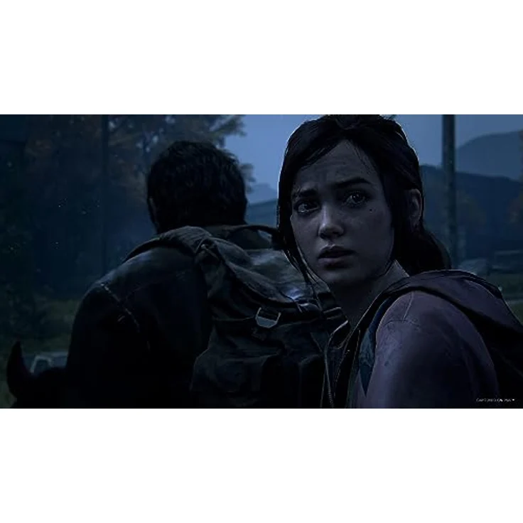 SONY INTERACTIVE ENT.FRANC STOCK253 - The Last of US Part 1 P5 VF – Bild 3
