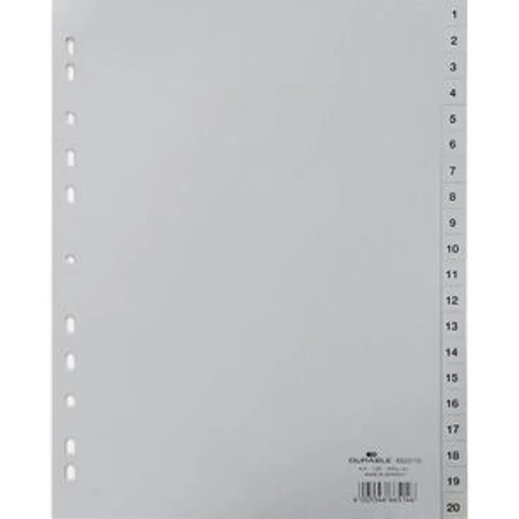 Durable 6522-10 Register Kunststoff 1-20, A4, 20-teilig, grau