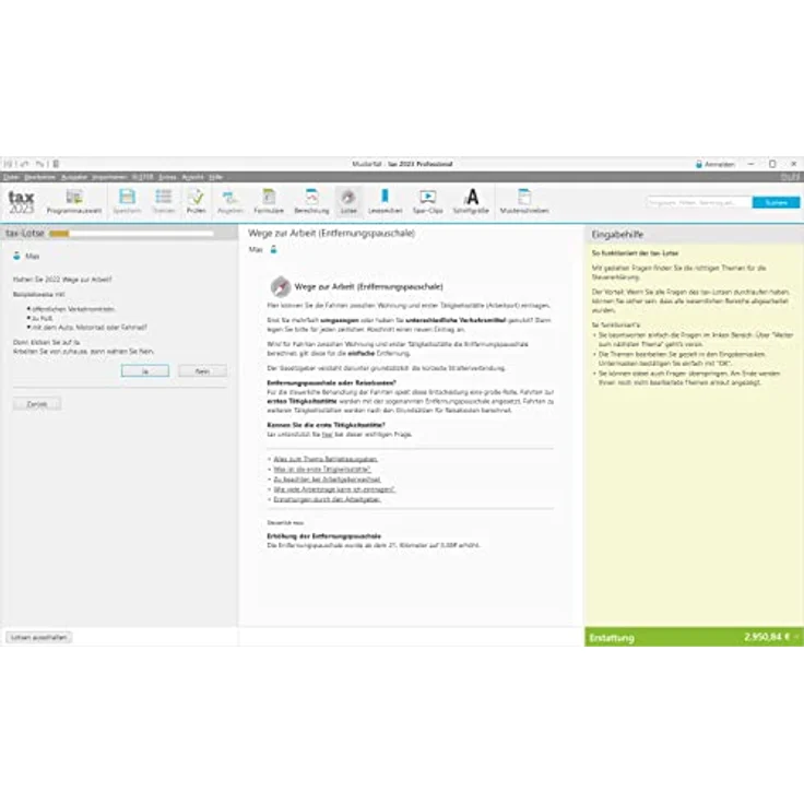 Tax 2023 Professional (für Steuerjahr 2022, Standard Verpackung): Steuererklärungen 2022 für Unternehmer, Freiberufler, Selbständige (Buhl Finance) – Bild 3