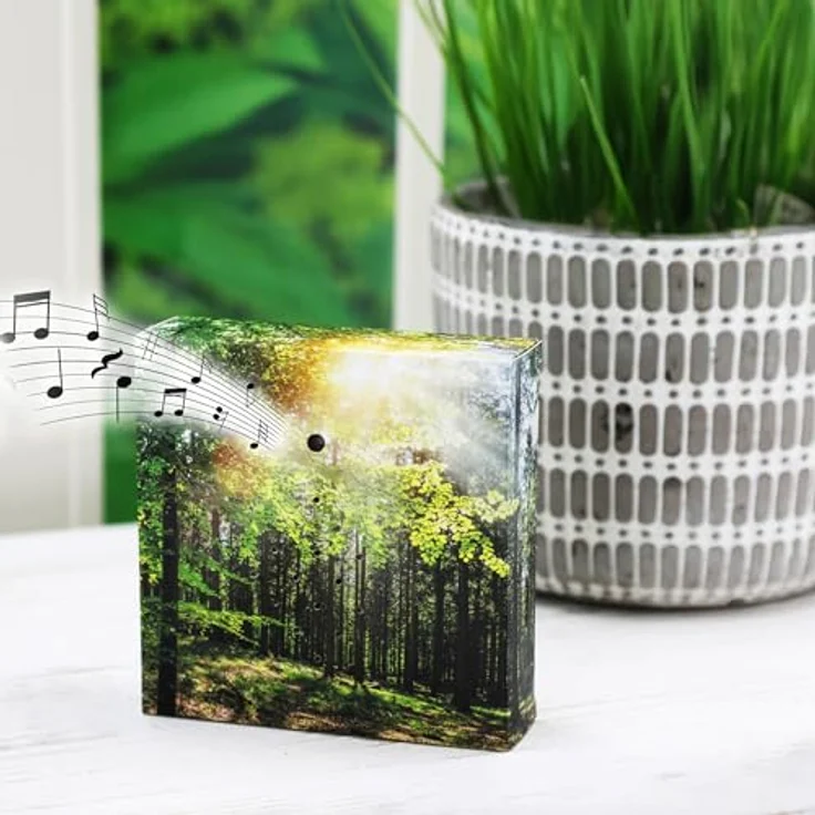 Spetebo 1.01 Soundbox Wald, Bluetooth-Lautsprecher mit beruhigenden Vogelgeräuschen, mehrfarbig, 12 cm – Bild 7