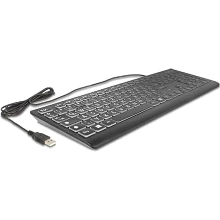 Delock USB Tastatur kabelgebunden 1,5 m schwarz mit XXL Buchstaben und Beleuchtung – Bild 2