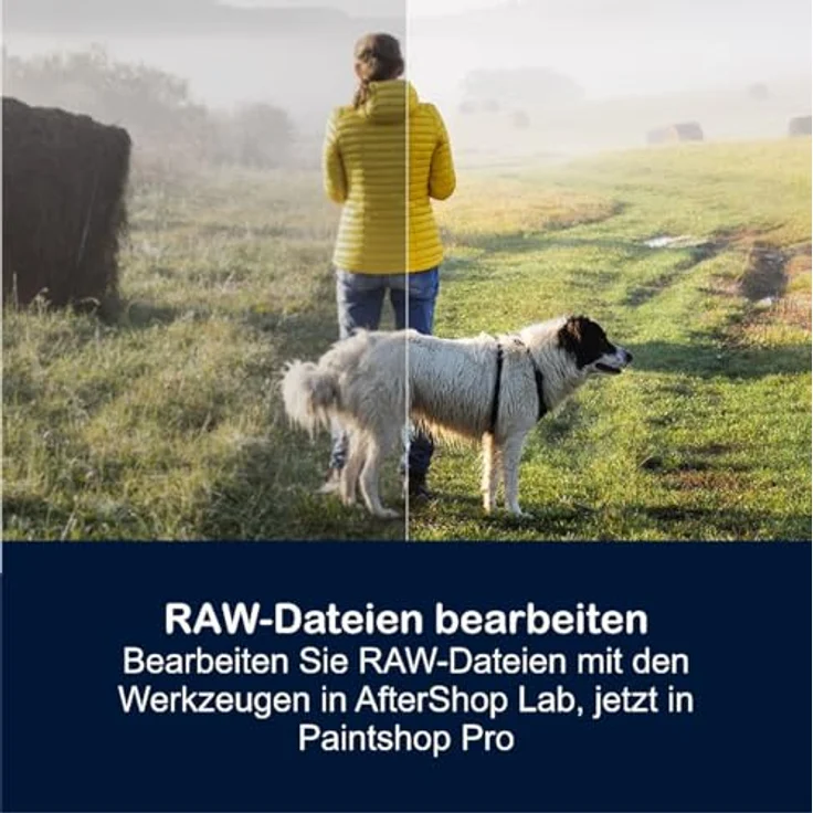 Corel PaintShop Pro 2023 ULTIMATE, Bildbearbeitungssoftware mit KI-gestützten Werkzeugen, Deutsch, Dauerlizenz für 1-PC – Bild 4