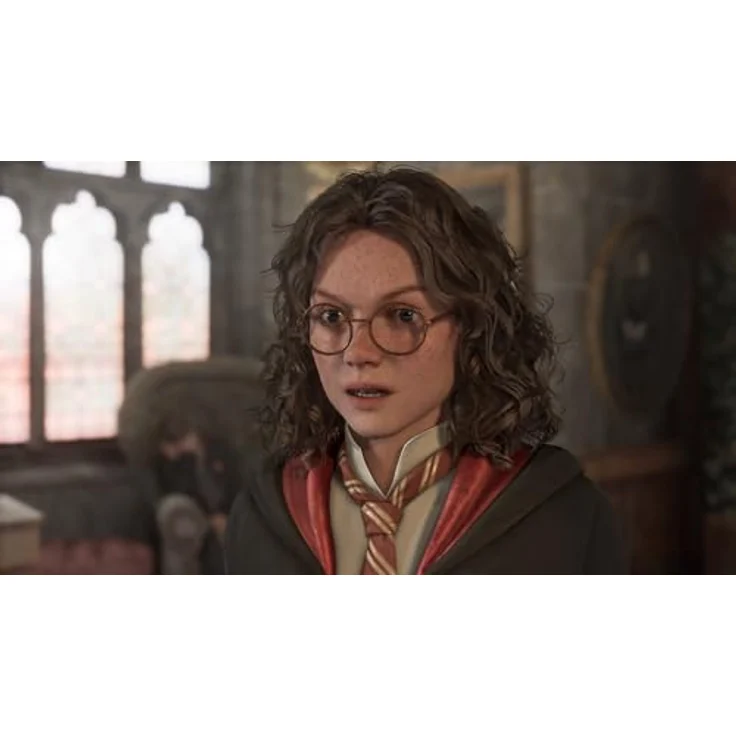WARNER BROS. ENTERTAINMENT Hogwarts Legacy - Nintendo Switch 2, Open-World Action-Rollenspiel mit verbesserter Grafik und Joy-Con 2-Maus-Sensor – Bild 3