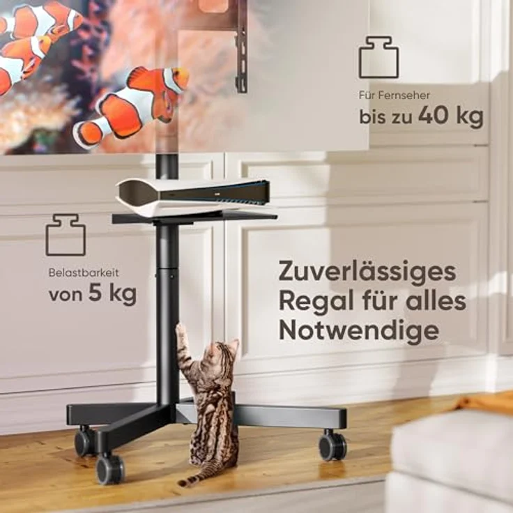 ONKRON TV Ständer rollbar für 23-60 Zoll Bildschirm bis zu 40 kg, höhenverstellbar Schwarz TS1137-B – Bild 3