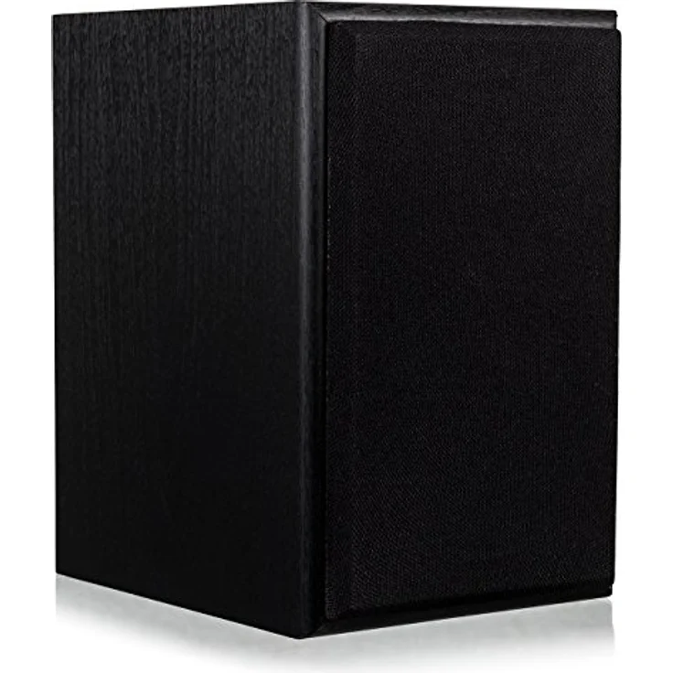 Dual LS 100 Aktiv-Lautsprecher Set (Phono-Eingang, integrierter Verstärker für Plattenspieler, Paar) schwarz – Bild 4