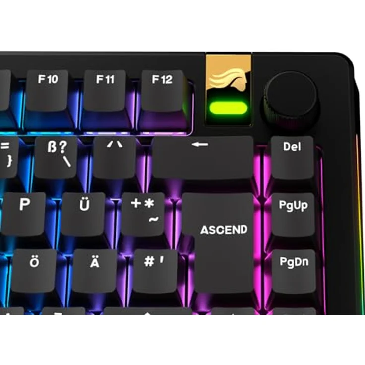 Glorious GPBT Basics Keycaps, ISO Layout (DE), PBT, Doubleshot - Classic Black Keycap-Komplettset, abriebfeste Beschriftung, ISO DE-Layout – Bild 6