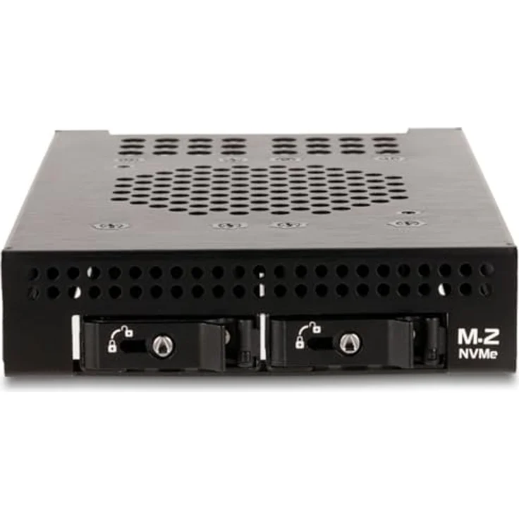 Delock 3.5" Wechselrahmen für 2x M.2 NVMe SSD SFF-8612, stabiler Metallrahmen mit Schlüsselschloss und Vibrationsdämpfung – Bild 3