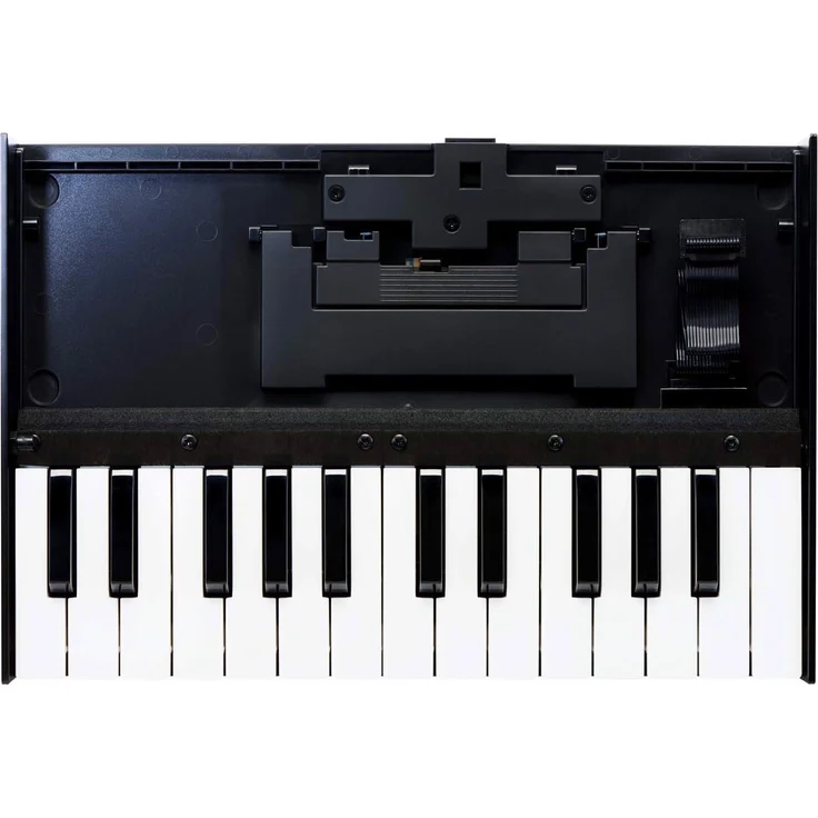 Roland K-25m, MIDI Controller, Schwarz, Weiss – Bild 1