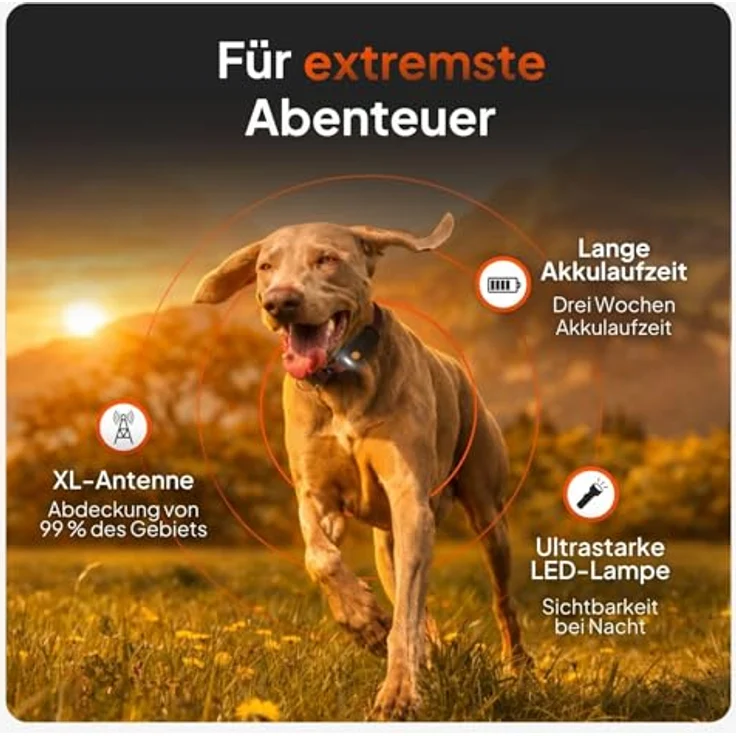 Weenect Hund XT GPS-Halsband für Hunde, wasserdicht, mit XL-Antenne und integriertem Julius-K9 Halsband, gelb, Abonnement erforderlich – Bild 2