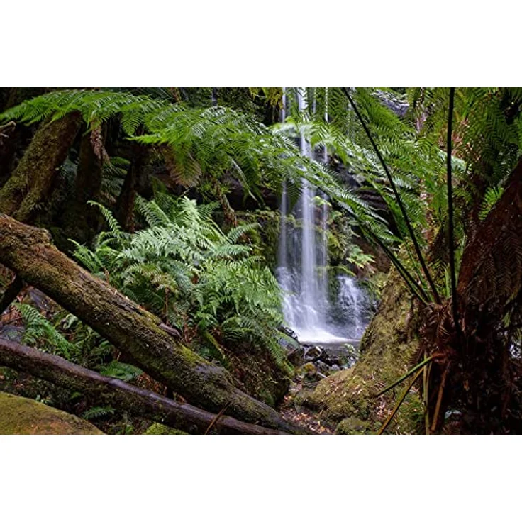 Tamron 11-20mm f2,8 Di III-A RXD für Sony E-Mount – Bild 4
