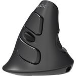 DeLUX Wireless +2.4G Vertikale Maus M618G DB, Ergonomische Maus in Schwarz - Preisvergleich