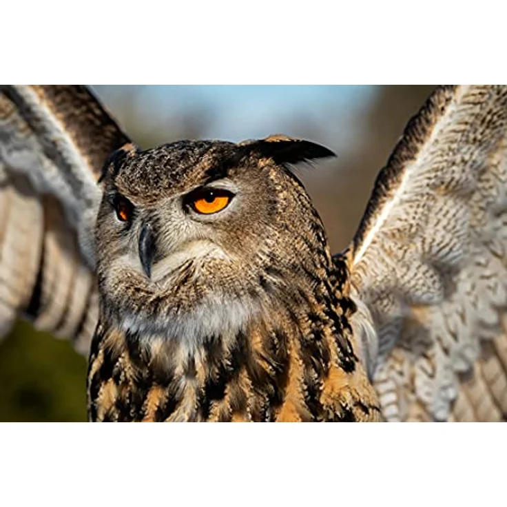 Tamron 150-500mm f5-6,7 Di III VC VXD Sony E-Mount – Bild 4