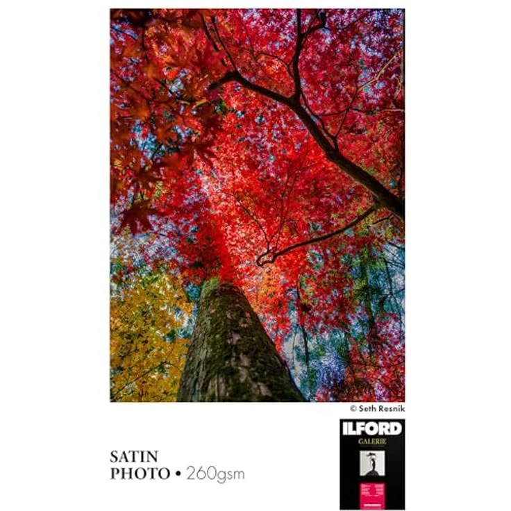 Ilford Druckerpapier GALERIE Prestige Lustre 100 Blatt 10x15 (10,2 x 15,2 cm) (2004021) – Bild 4