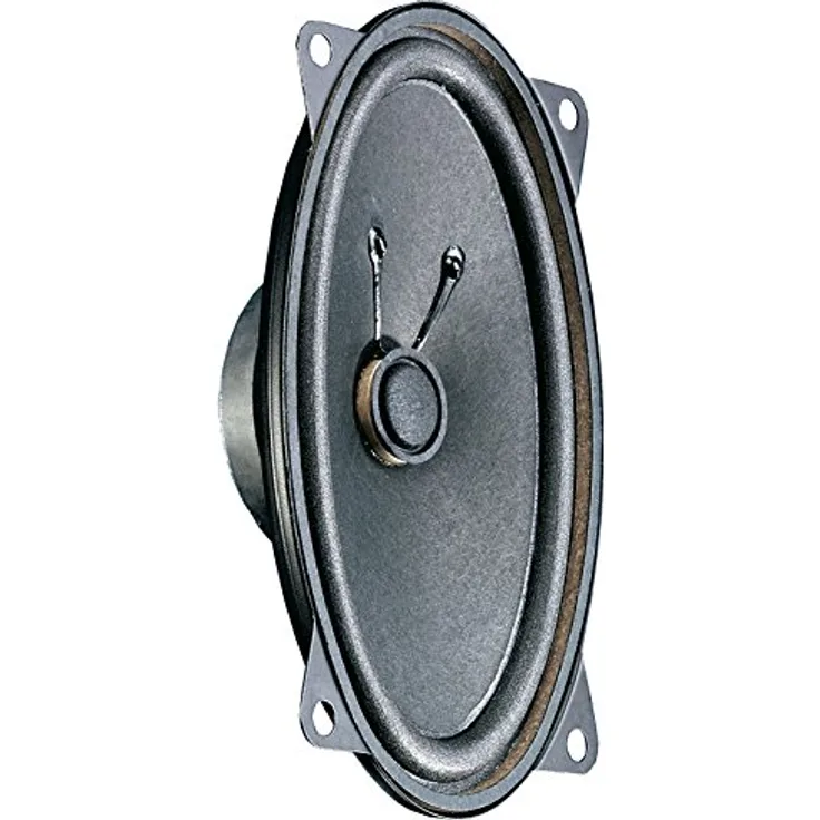 Visaton FR 9,15, 10,2 cm (4 Zoll) Lautsprecher, 15 W, Frequenzbereich 75 – 16.000 Hz, 4 Ohm, schwarz