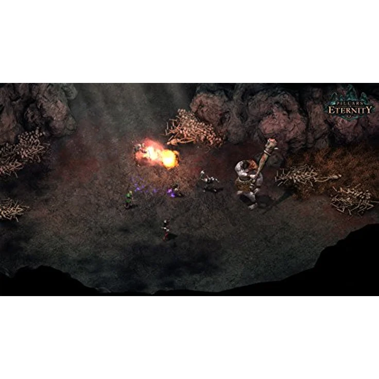 Pillars of Eternity (Sonderedition) (PC) – Bild 3
