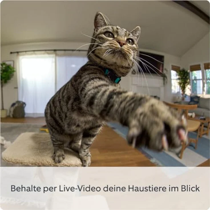 Ring Pan-Tilt Indoor Camera Überwachungskamera (Innenbereich) - 360°-Ansicht, 169° Neigungsfunktion – Bild 3