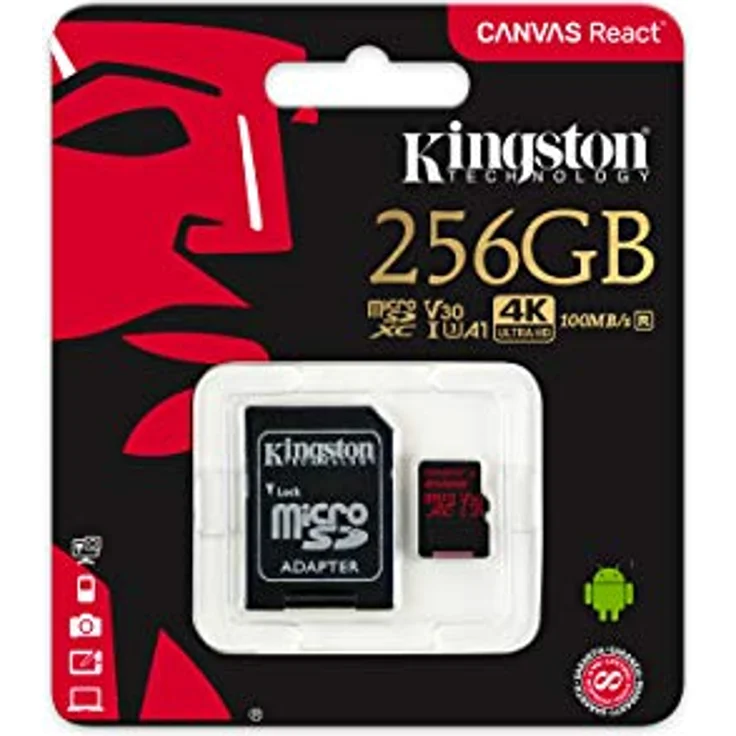 Kingston SDCR-256GB SD Class 10 Speicherkarte – Bild 3