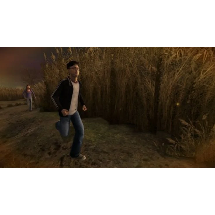 Harry Potter und der Halbblutprinz (Wii) – Bild 4