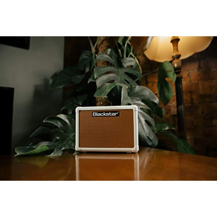 Blackstar Fly 3 Acoustic, Mini-Verstärker für Akustikgitarren mit 3 Watt Leistung, 2-Band Equalizer und Echo-Effekt – Bild 6
