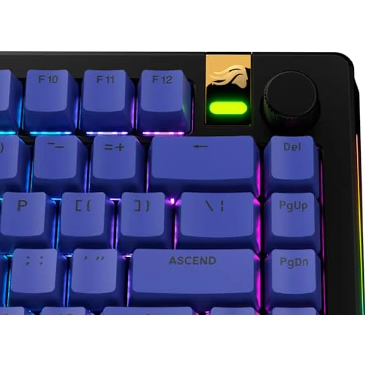 Glorious GPBT Basics Keycaps, ANSI Layout (US), PBT, Doubleshot - Mana Blue – Bild 7