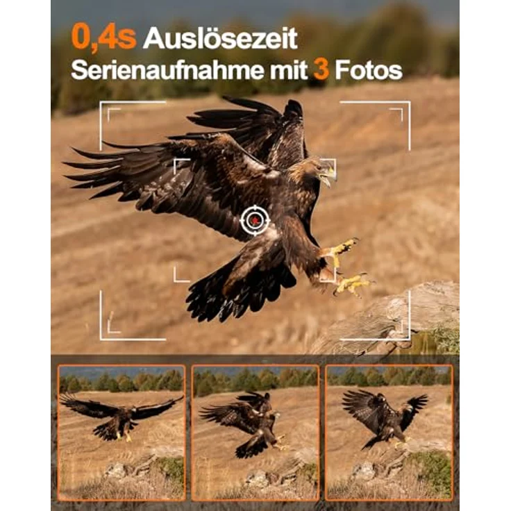 Rollei Wildkamera HD-30, Überwachungskamera mit hochauflösenden Fotos bis zu 48 MP in 4K-Qualität – Bild 4