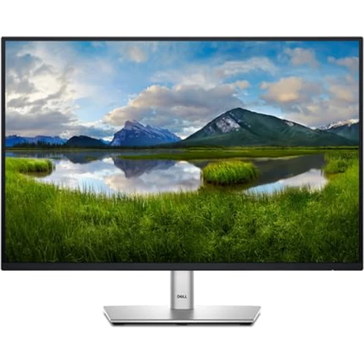 Dell P2425 – Bild 2
