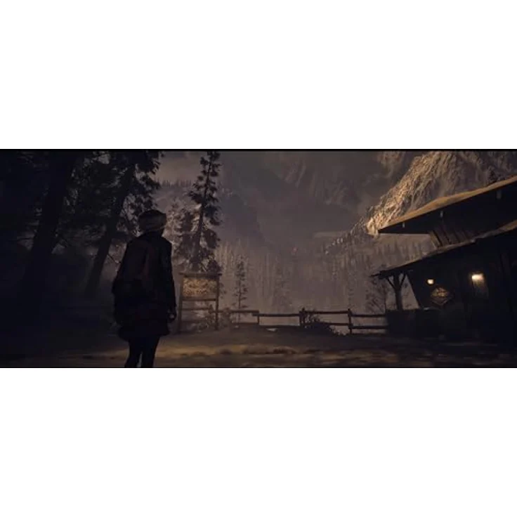 Playstation Until Dawn™, PS5-Games überarbeitet und erweitert für PS5-Konsolen - Preisvergleich – Bild 3