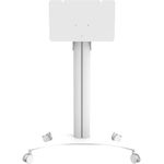 celexon Display Rollwagen Seoul - für Samsung FLIP - Displaygröße bis 65" - Traglast bis 50 kg - Maße: 118 cm x 56 cm x 167 cm - weiß