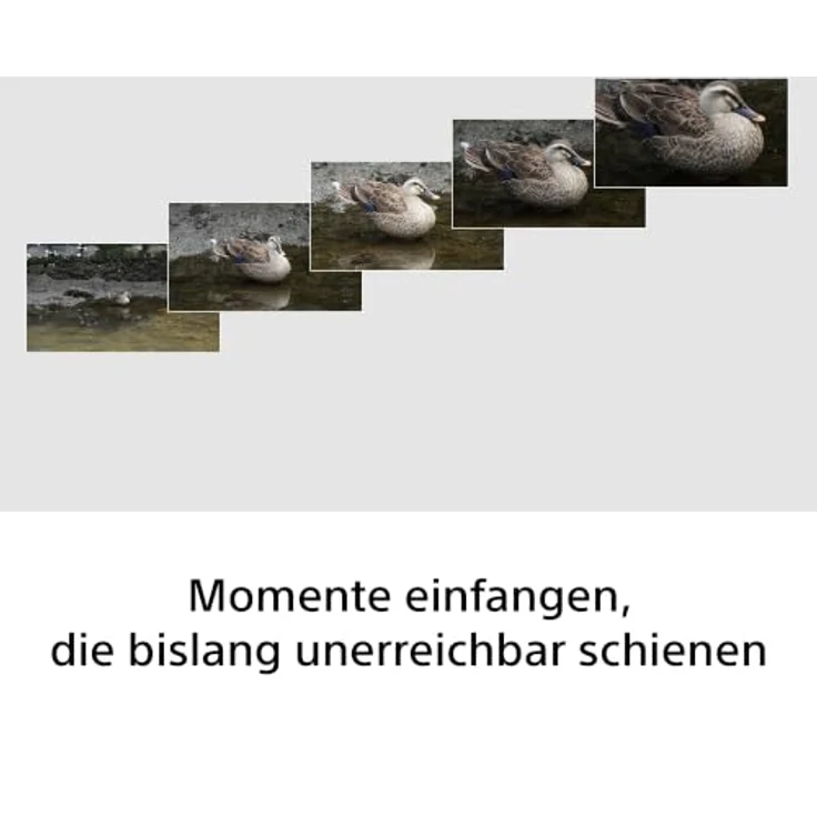 SONY SEL100400B.SYX 100 mm - 400 mm f/5.6-8, Super-Telefoto-Zoomobjektiv für Sony E-Mount, kompakt und leicht, schwarz – Bild 3