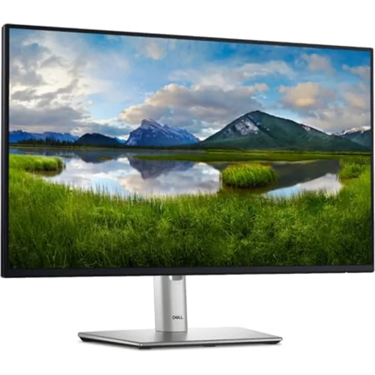 Dell P2425HE 23,8" FHD IPS Monitor 100Hz HDMI DP USB-C RJ45 Black/Silver