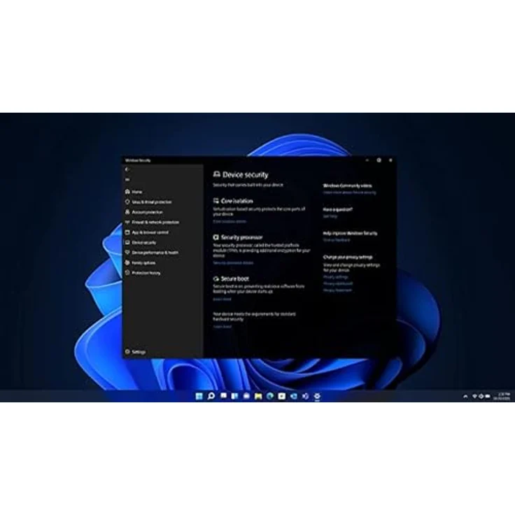 SW RET Win 11 PRO FPP 64B/ENG USB HAV-00163 MS – Bild 3