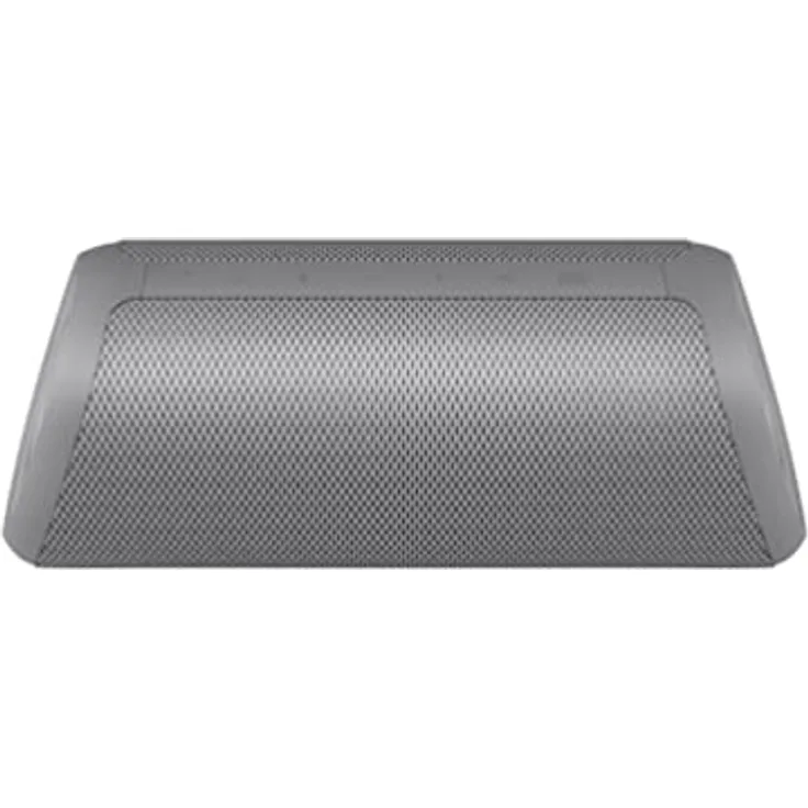 LG XBOOM Go DXG7, tragbarer Bluetooth-Lautsprecher (40 Watt, Google Assistant, Siri, Beleuchtung), Grau
