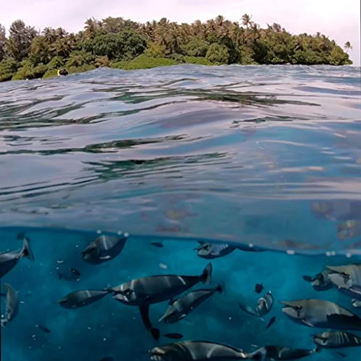 PolarPro - GoPro HERO 9/10/11/12 - Fifty-Fifty Dome - Marine-grade System - wasserdicht bis 10 Meter - 30% größeres Sichtfeld - Reinigung oder Austausch ohne Werkzeug – Bild 5