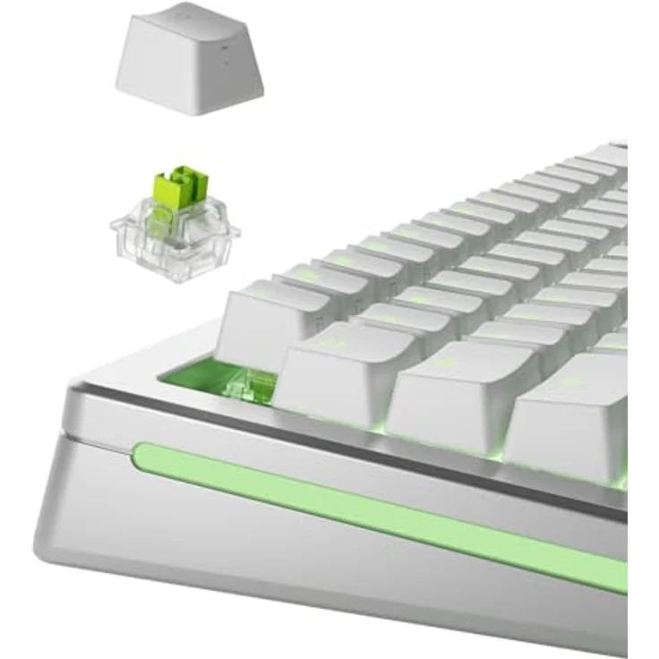 Glorious Raptor HE Standard Switch, Hall-Effekt, clicky, MX-Stem, 55g - lubed, 36 Stück – Bild 2