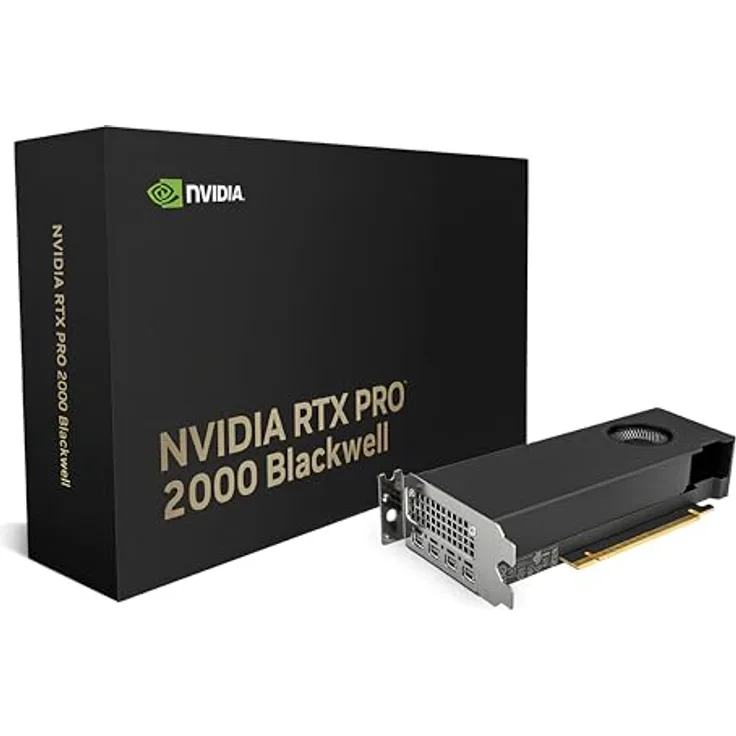 Nvidia RTX PRO 2000 Blackwell, Grafikkarte mit 16GB GDDR7-RAM, PCIe x8, Mini DisplayPort, kompakte Bauweise