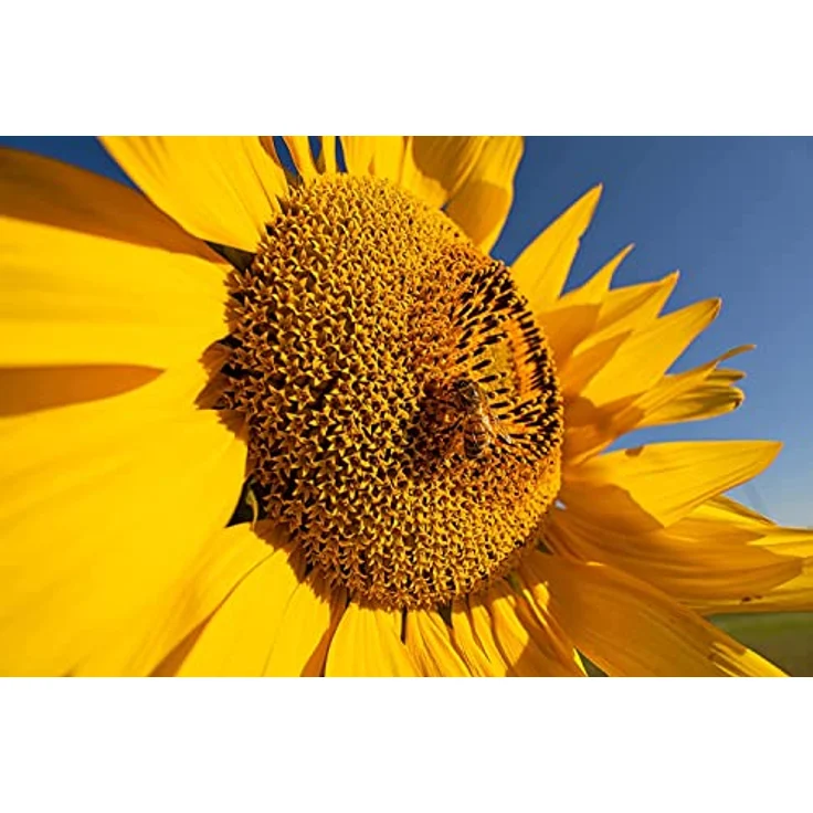 Tamron 11-20mm f2,8 Di III-A RXD für Sony E-Mount – Bild 6