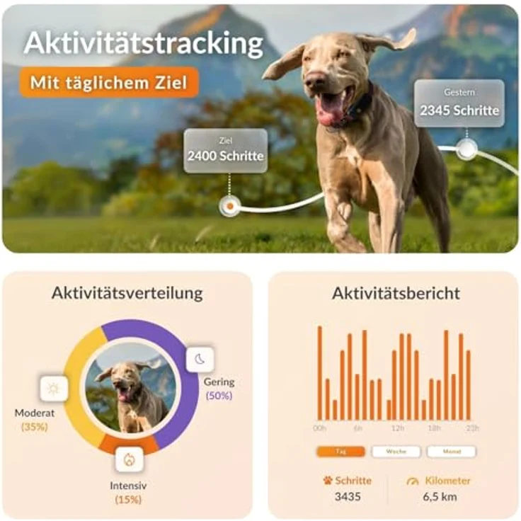 WEENECT XT, GPS Tracker für Hunde mit verstellbarem Julius-K9 Halsband (37,5-56,5 cm), LED Lampe, wasserdicht, schwarz, Echtzeit-Tracking ohne Distanzlimit – Bild 4