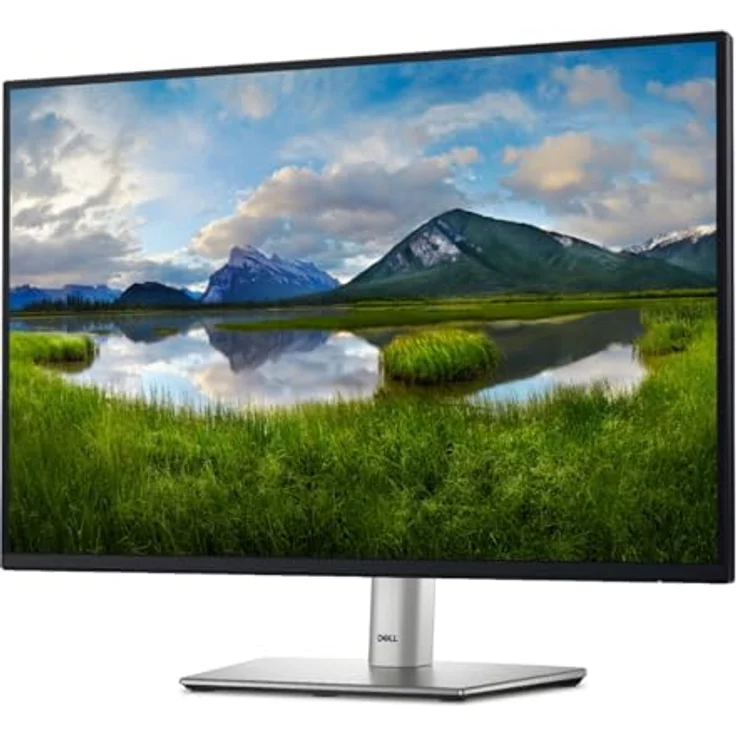 Dell P2425 – Bild 3