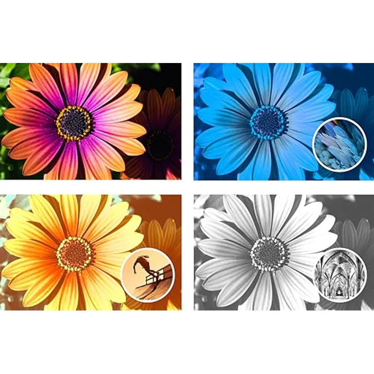 Adobe Photoshop Elements 2024|Standard |1 Gerät | PC/Mac | unbefristet | Box inkl. Aktivierungscode – Bild 4