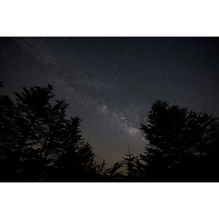 Sigma 14mm F1,8 DG HSM Art Objektiv für Sony-E Objektivbajonett – Bild 2