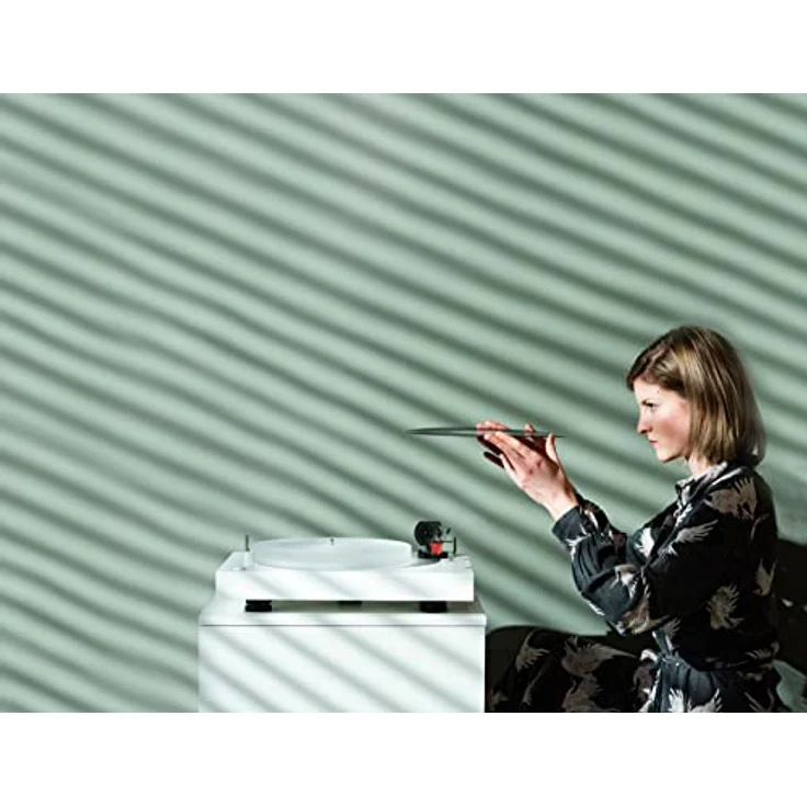 Pro-Ject X2 B, True Balanced Plattenspieler mit elektronischer Geschwindigkeitsumschaltung, Carbon Tonarm und Acrylplattenteller, inkl. Ortofon Quintet Red, Matt Weiß – Bild 5