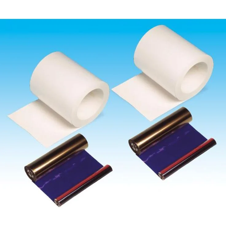 DNP DM6840, Kopierpapier für DS40, 2 Rollen je 200 Blatt, 15x20 cm, matte und glänzende Druckqualität, schützend gegen UV, Wasser und Staub